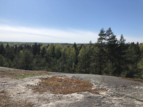 Haloo, Helsinki! Jätä tilaa uusiutuvalle energialle